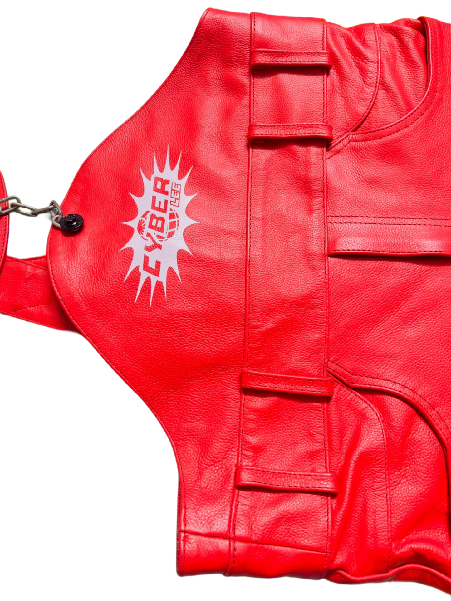 CyberLee Y2k Overalls