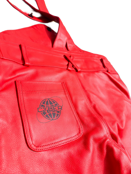 CyberLee Y2k Overalls